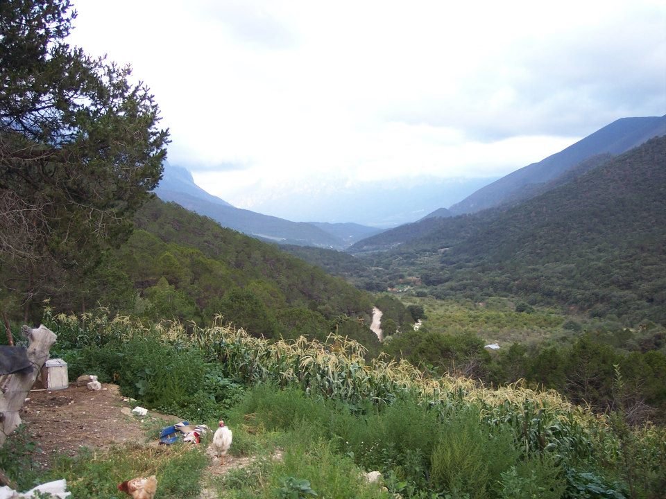 Anna Lee Moss' album, Mexico 2012 and Agua Sufrosas