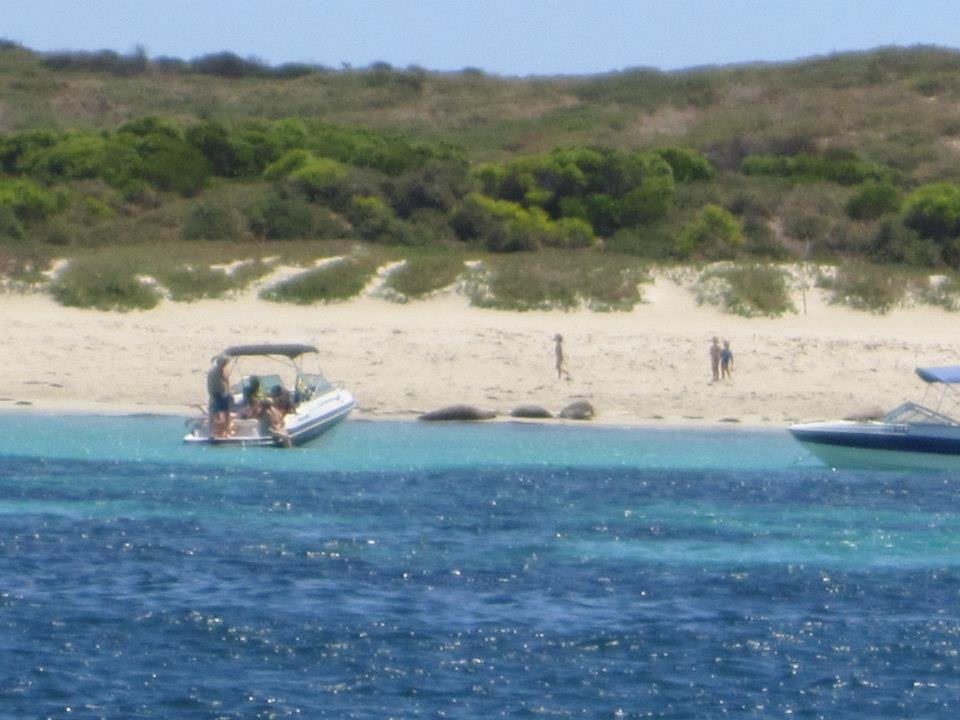 Mark Hodson's album, Sailing in Freemantle!