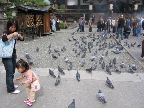 Aubrey Olson's album, japan pictures