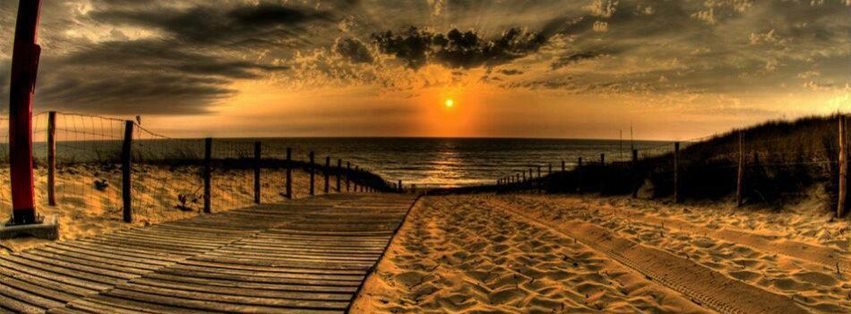 Steve D'amico's album, Cover Photos