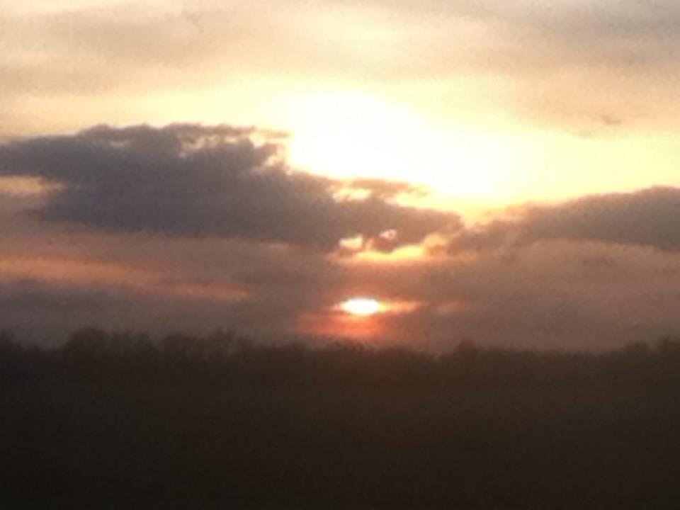 Michael Gannon's album, iOS Photos