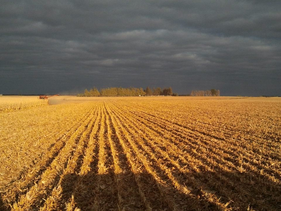 Christopher Simonson's album, Iowa Harvest 2012