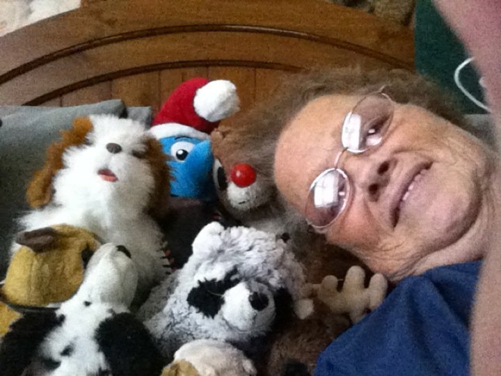 Susan Shinn's album, Profile Pictures