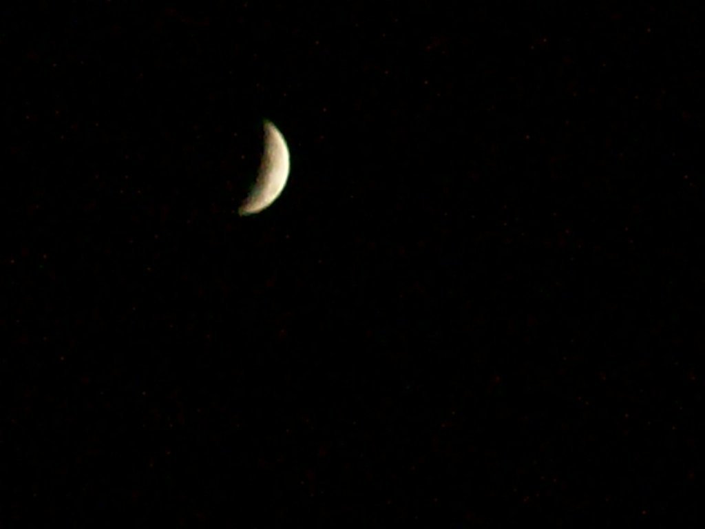 George Sigley's album, Lunar eclipse - December 21, 2010