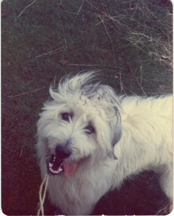 Robert Mallardo's album, Spike