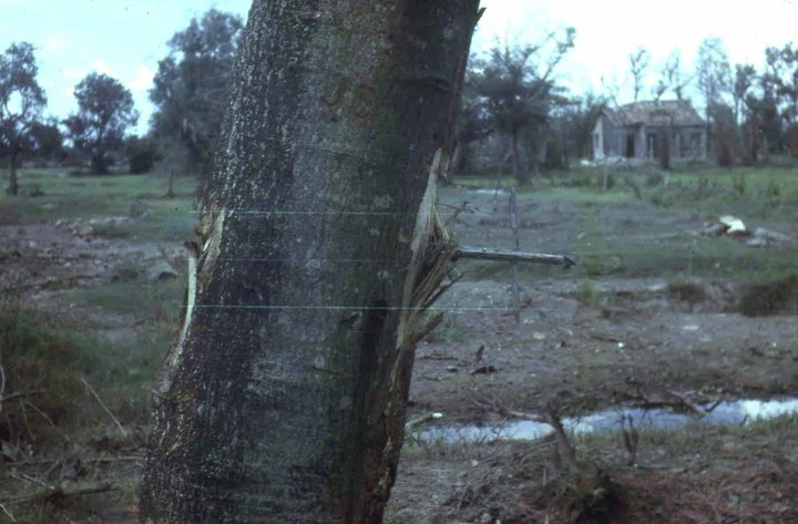 Jerry Todd's album, Nam '68