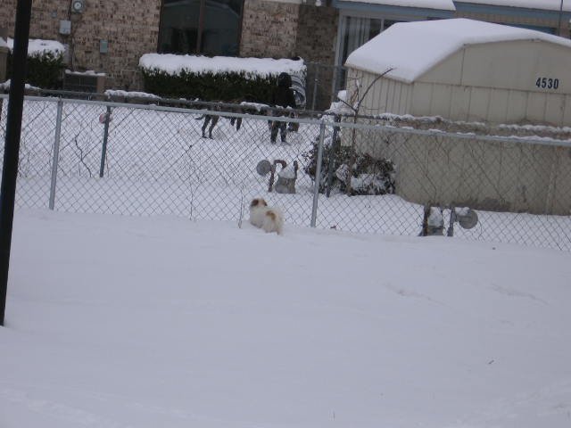 Nancy Yancy's album, February 4, 2011