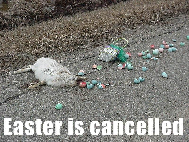 Tom Wurth's album, Timeline Photos