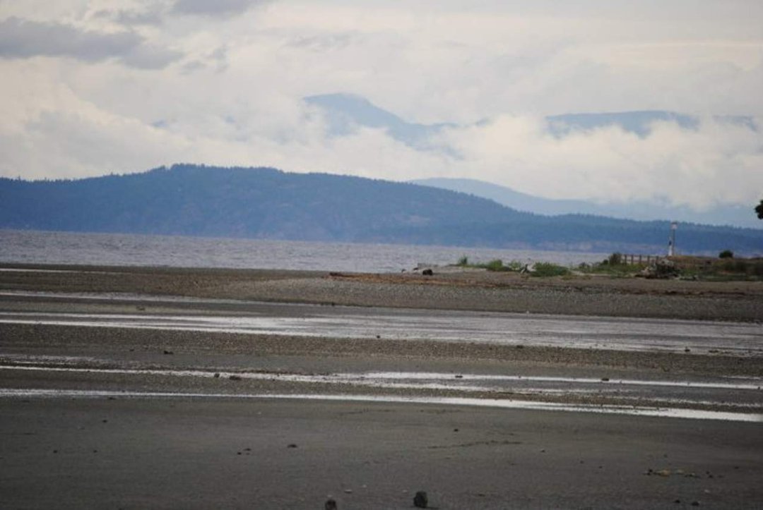 Rick Rozon's album, Parksville 2011