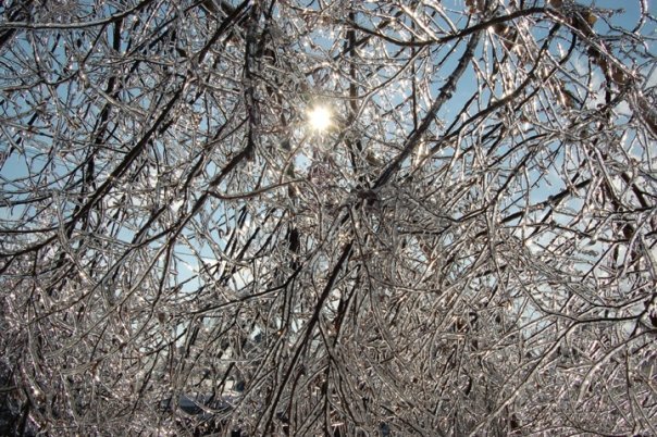 Mike Prather's album, Kentucky Ice Storm 2009