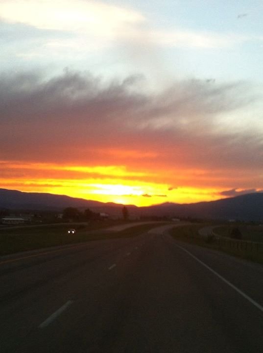 Michele Merrell's album, Cover Photos