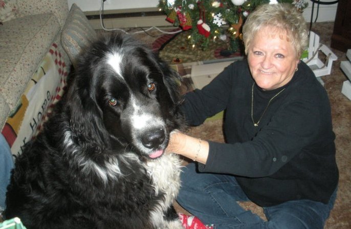 Donna Johnson's album, Cover Photos