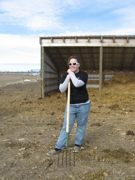 Chris McCormick's album, Light house gardening