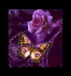 Danielle Brixey's album, PicsArt Photo Studio Photos