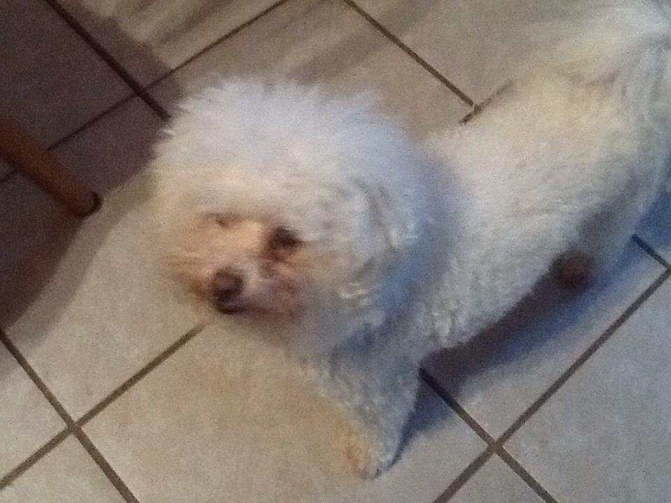 Terry Munn's album, iOS Photos