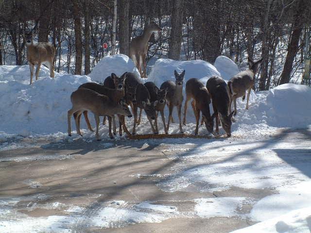 Joan Knutson's album, Timeline Photos