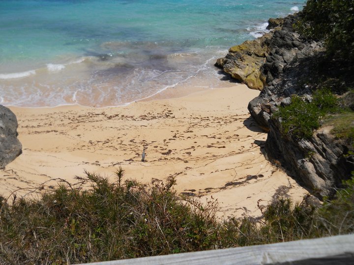 Tracy Robertson's album, Bermuda 2011