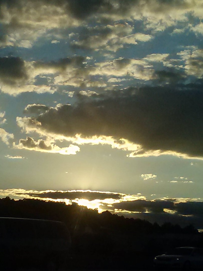 Donna Schmidt's album, Mobile Uploads