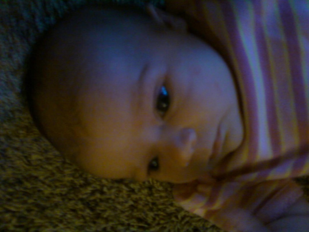 Amber Johnson's album, Mobile Uploads