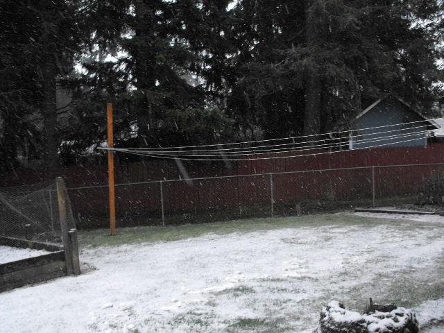 Tom Burrell's album, Timeline Photos