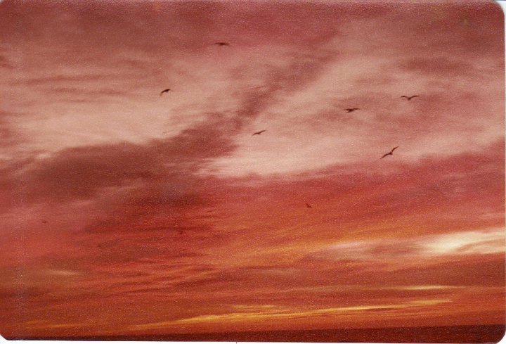 Tim Crotts' album, Navy days