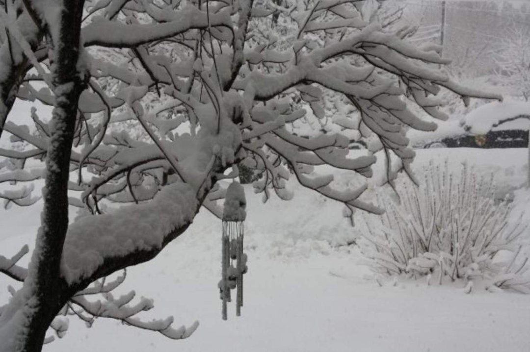 Brandy Krediet's album, The never ending winter