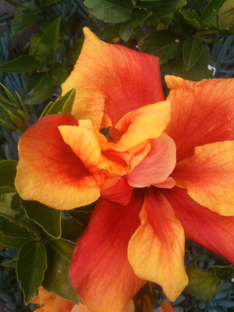 Judy Roberts' album, Cover Photos