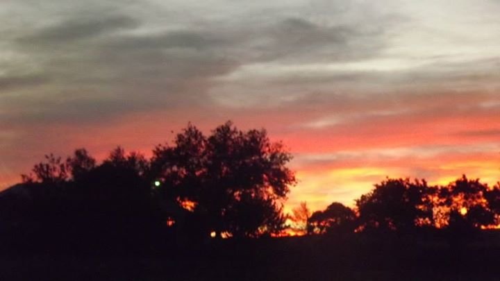 Deborah Horn's album, Cover Photos