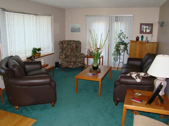 John Mill's album, New Living Room Furniture and Cat