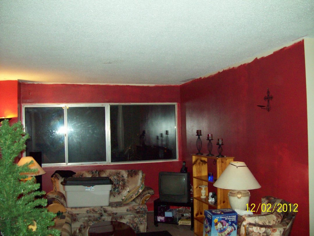 Patrick O'Quinn's album, My Newly Painted LivingRoom Did My Self