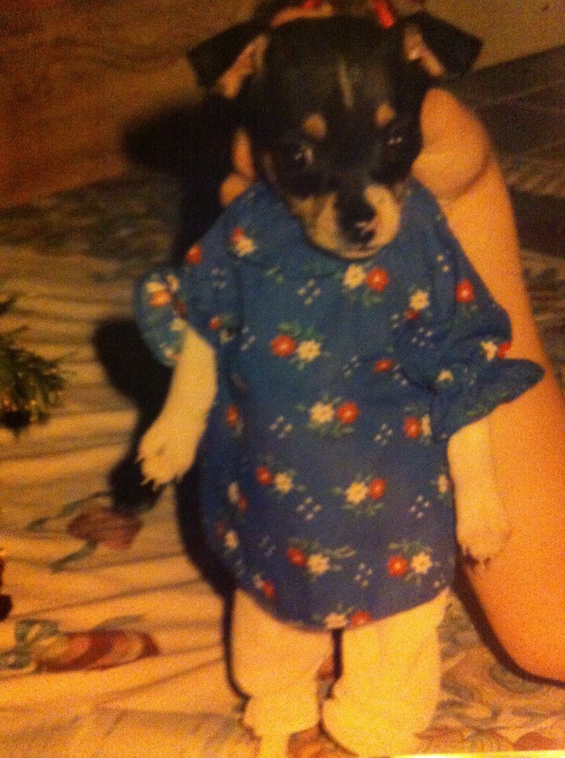Patsy Scott's album, Mobile Uploads