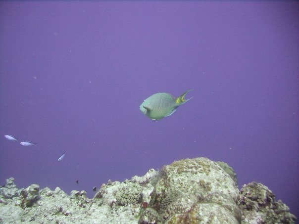 Tim Barker's album, Cozumel 4