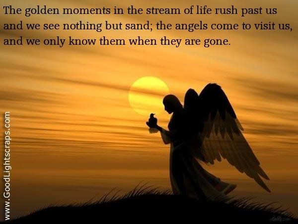 Ted Mendsen's album, Timeline Photos