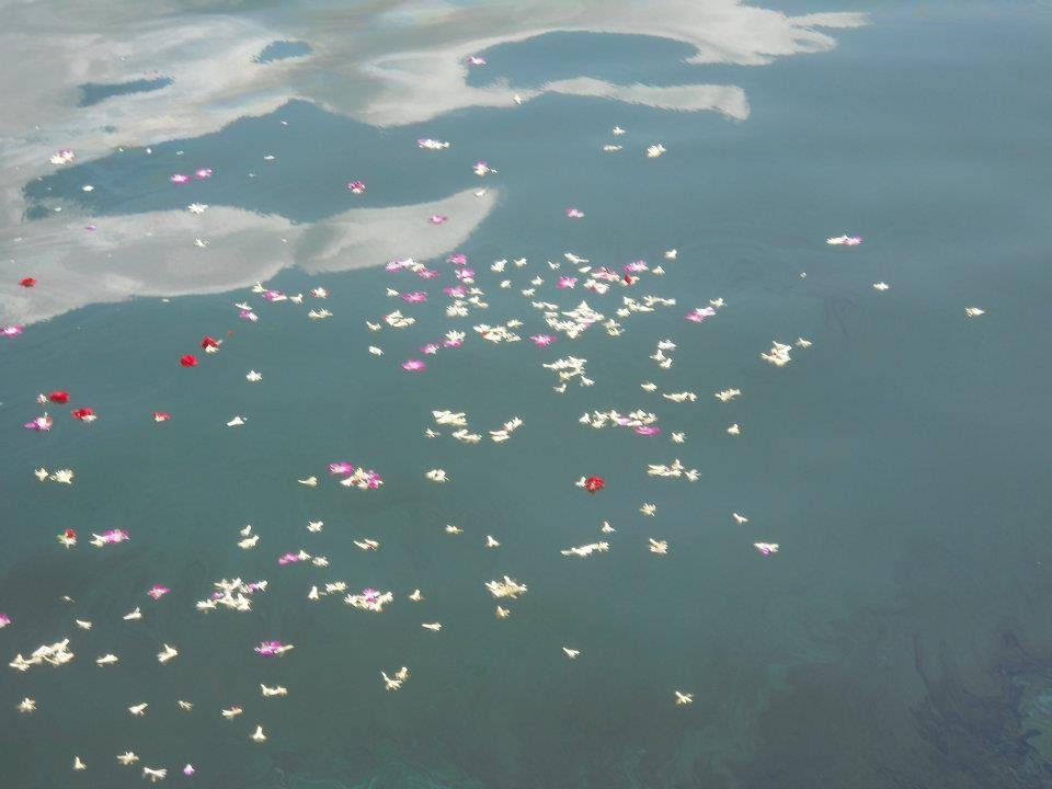 V.  Alan Johnson's album, Pearl Harbor