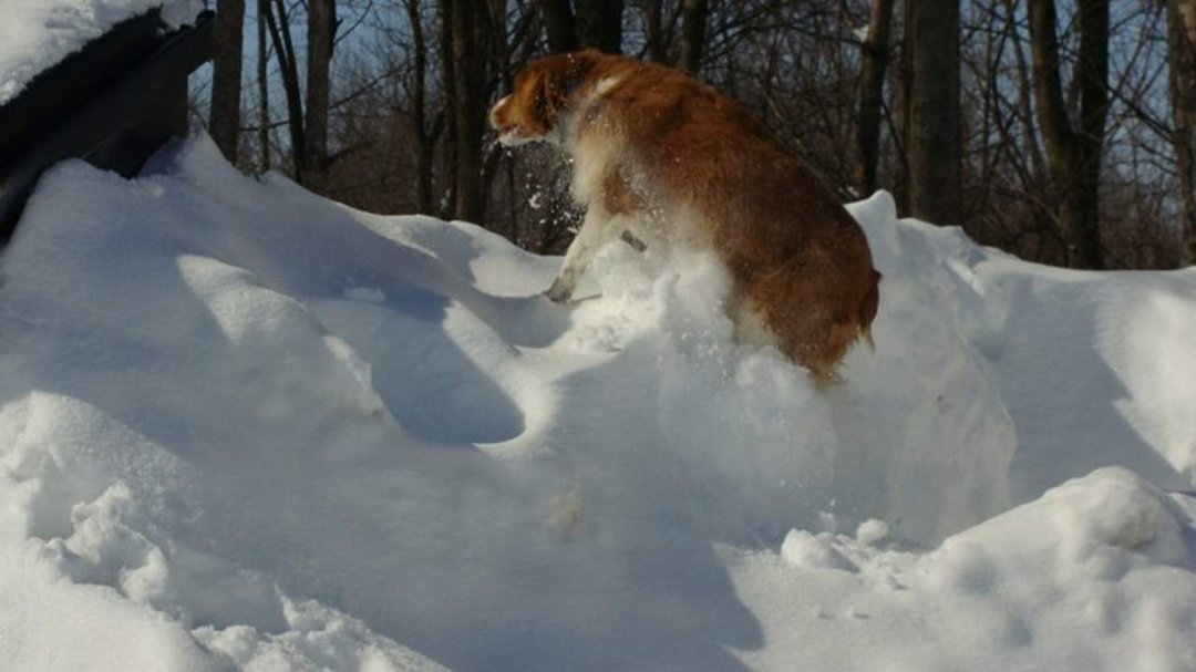 Gail Bates' album, Blizzard of 2011