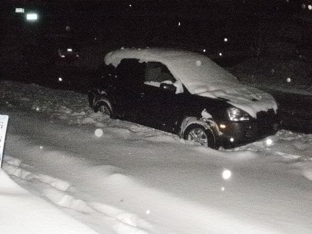 James Dominy's album, Dec. 2012 Snow, Christmas and MORE Snow