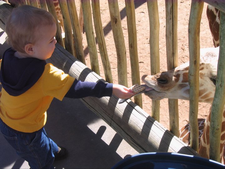 Ken Cain's album, Keaghan at the Zoo
