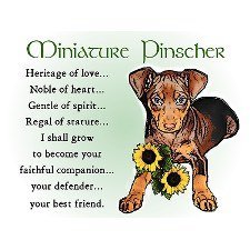 Kathi Blakely's album, Timeline Photos