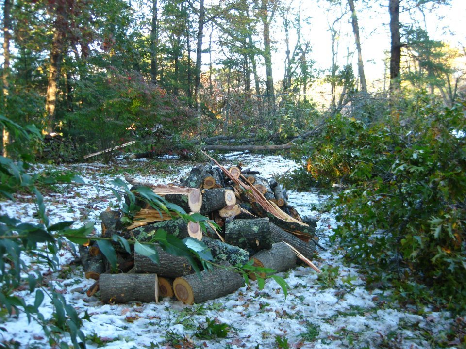 LORENE BEACH's album, Halloween Snow 2011