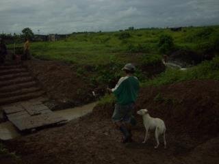 Steve Pledger's album, Nica July 2010