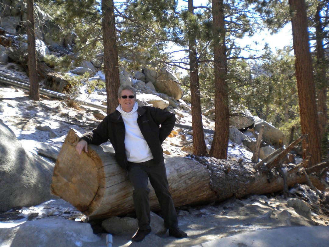 Dan Crouch's album, Palm Springs