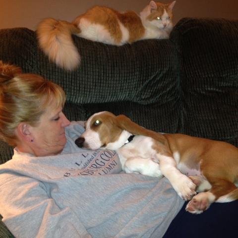 Holly Krafka's album, Profile Pictures