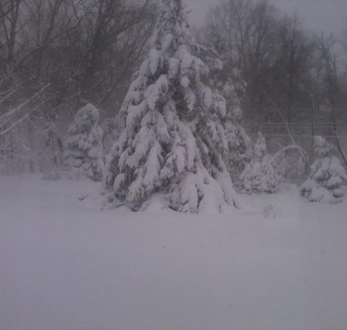 Barbara Poole's album, Blizzard February 2013