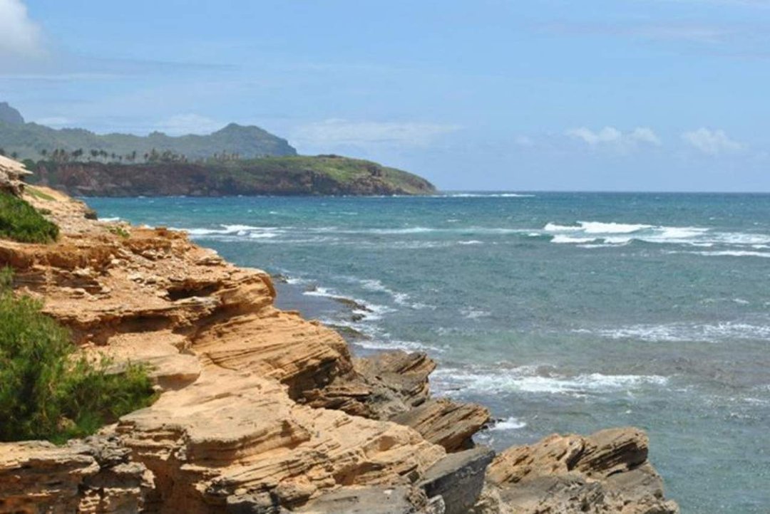 Veronica Luckey's album, Junior Year/Hawaii 2012