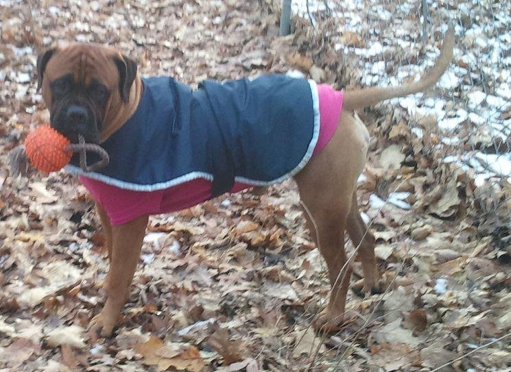 Peter E. McAlpine's album, Timeline Photos