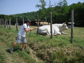 Tom Moore's album, Italy rocks!