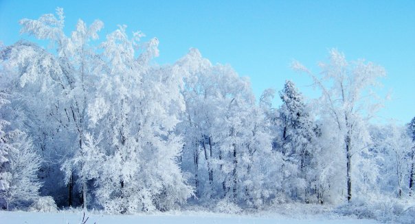 Kathryn Pfendler's album, Snow Day