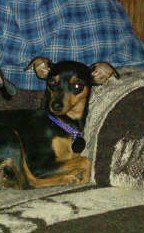 Tami Silva's album, Timeline Photos