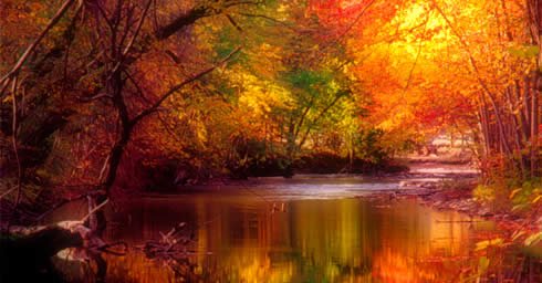 Ileen Levine's album, Cover Photos