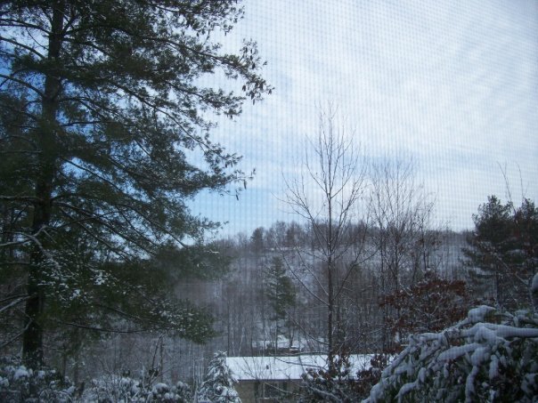 Fred Smith's album, My Pictures